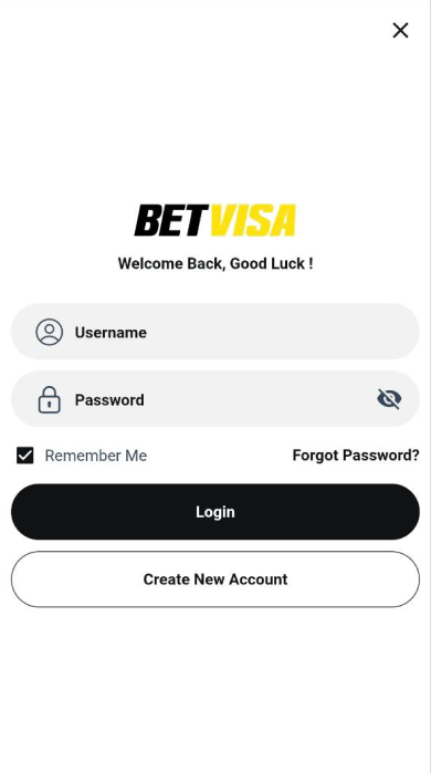 Log in
