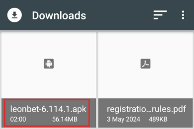 Downloaded file in the Downloads folder