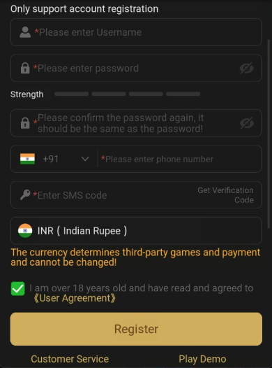 Registration in Gullybet Casino app on Android